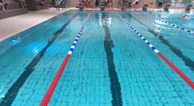 1. Schwimmfest der Altstadtschule in der Welle 1. Schwimmfest der Altstadtschule in der Welle